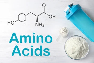 The Importance of Amino Acids Supplements